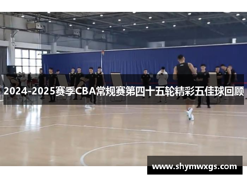 2024-2025赛季CBA常规赛第四十五轮精彩五佳球回顾