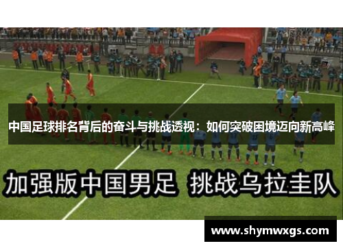 中国足球排名背后的奋斗与挑战透视：如何突破困境迈向新高峰