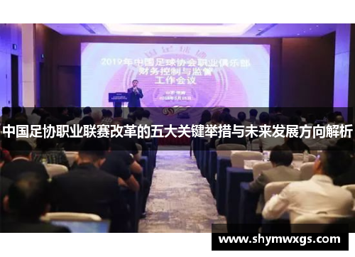 中国足协职业联赛改革的五大关键举措与未来发展方向解析