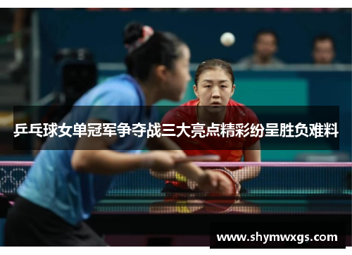 乒乓球女单冠军争夺战三大亮点精彩纷呈胜负难料