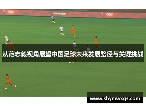 从范志毅视角展望中国足球未来发展路径与关键挑战