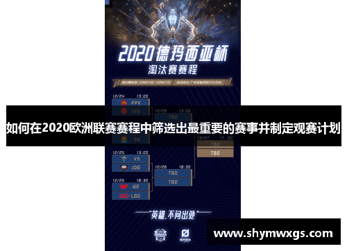 如何在2020欧洲联赛赛程中筛选出最重要的赛事并制定观赛计划