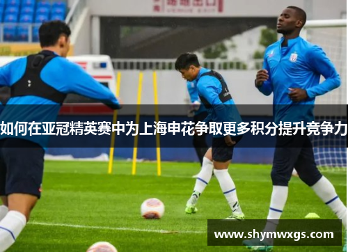 如何在亚冠精英赛中为上海申花争取更多积分提升竞争力 如何在亚冠精英赛中为上海申花争取更多积分提升竞争力