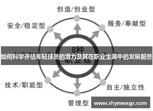 如何科学评估年轻球员的潜力及其在职业生涯中的发展前景