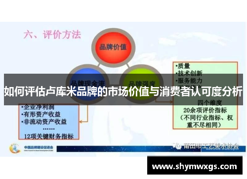 如何评估卢库米品牌的市场价值与消费者认可度分析