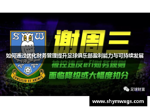 如何通过优化财务管理提升足球俱乐部盈利能力与可持续发展 如何通过优化财务管理提升足球俱乐部盈利能力与可持续发展