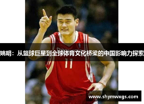 姚明：从篮球巨星到全球体育文化桥梁的中国影响力探索