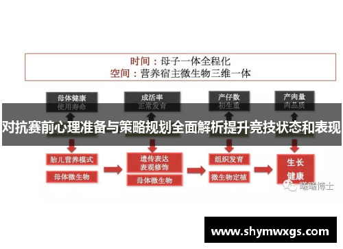 对抗赛前心理准备与策略规划全面解析提升竞技状态和表现